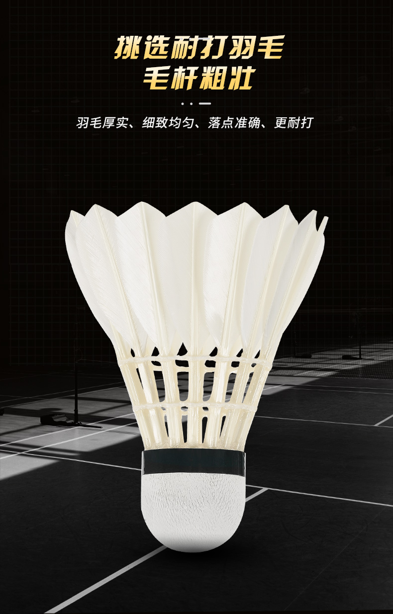 Профессиональные шары для бадм – обзор и цена Badminton Bwf
