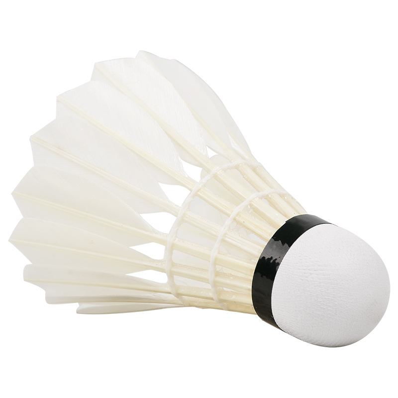 Профессиональные шары для бадм – обзор и цена Badminton Bwf